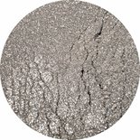 Urban Nails Glitter Dust 02